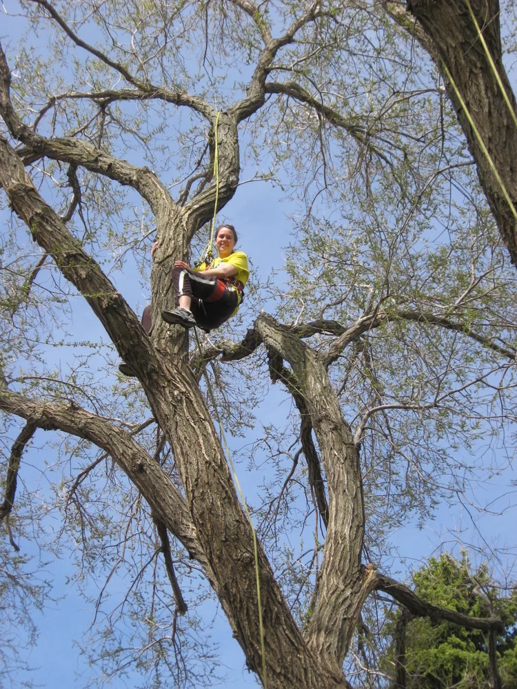 2009 michelle duppong leading a focus student group activity doing tree climbing at sdsu