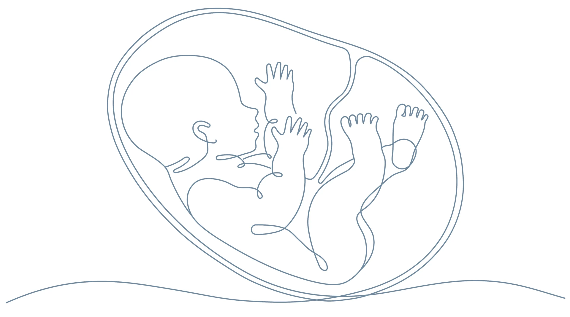 Blue line art which makes the shape of a baby